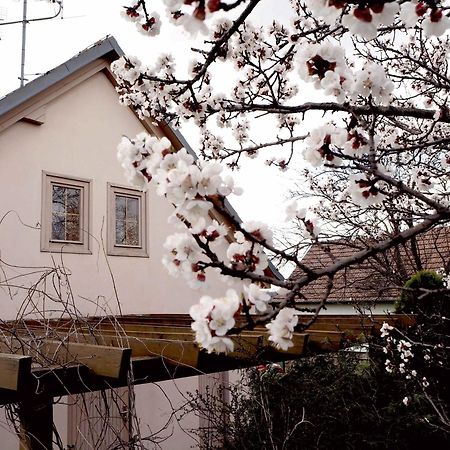 Ubytování u Křížů Bulhary Exterior foto