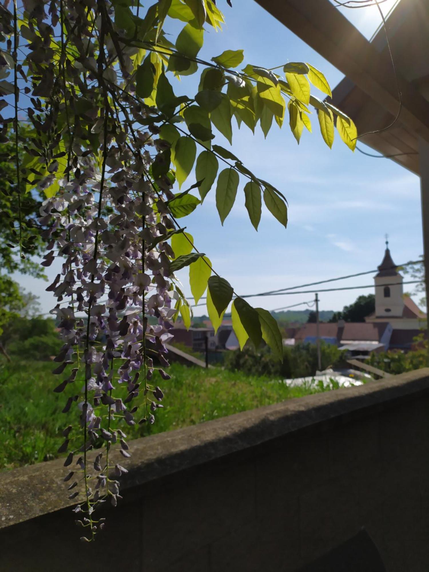 Ubytování u Křížů Bulhary Exterior foto