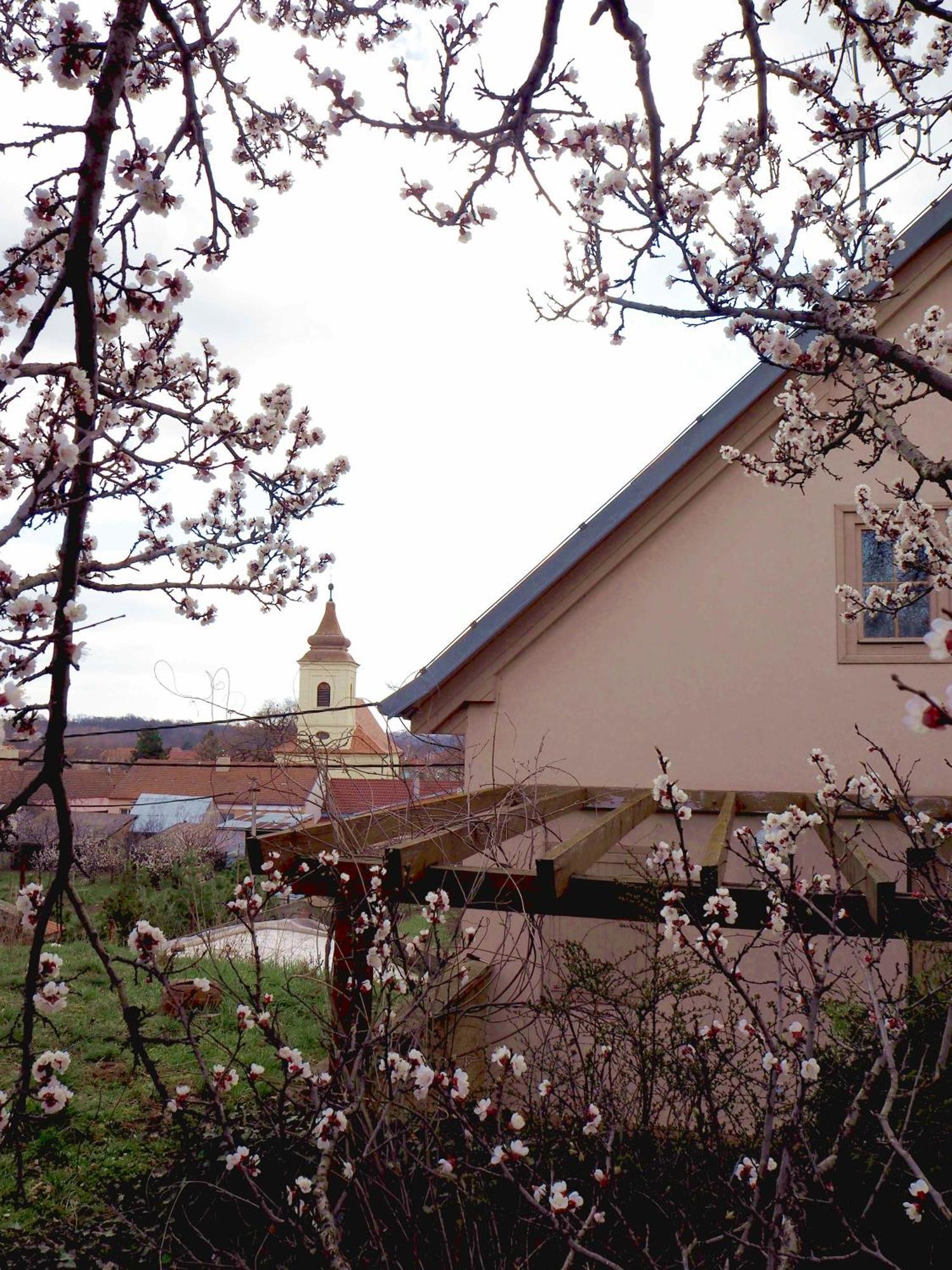 Ubytování u Křížů Bulhary Exterior foto