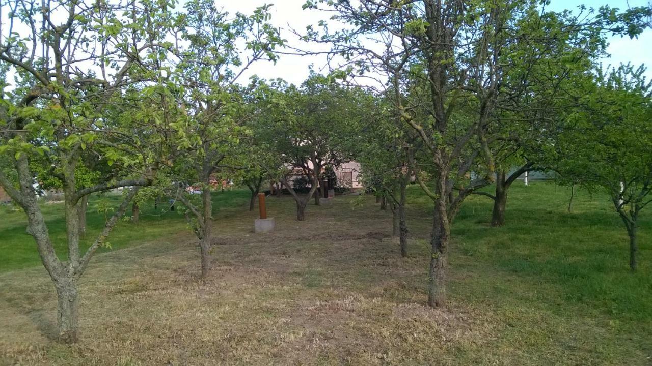 Ubytování u Křížů Bulhary Exterior foto